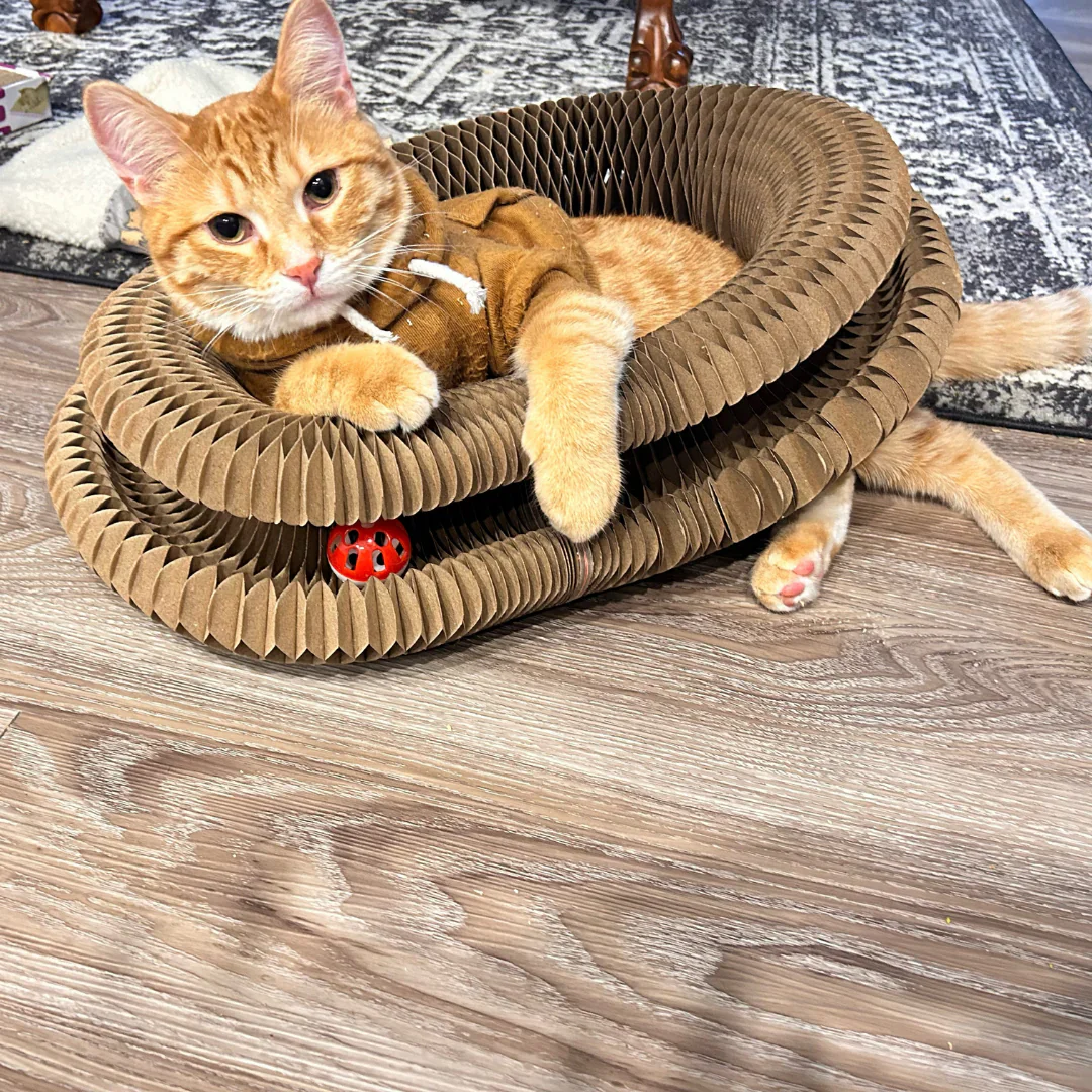MewTwist
